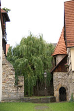 Zwingerturm