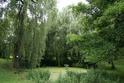 Teich Schadenweilerhof