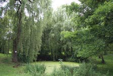 Teich beim Schadenweilerhof