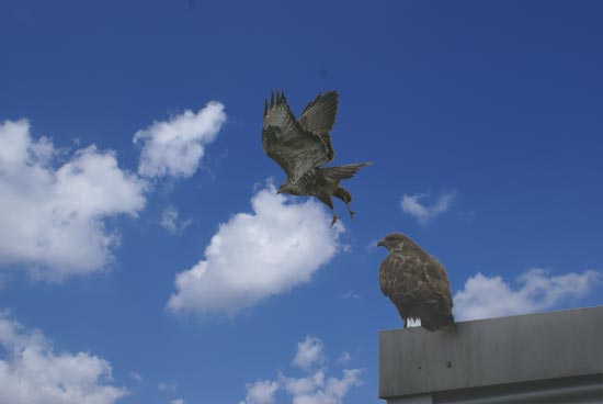 Webcam Gro� Ansicht